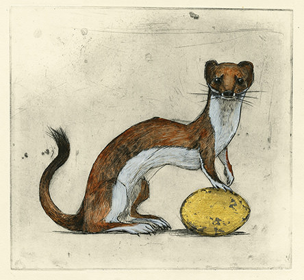 Olivia Lomenech Gill | Stoat